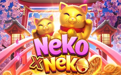 NEKO X NEKO