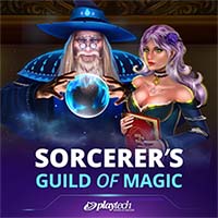 Sorcerers Guild of Magic