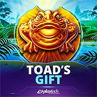 Toads Gift