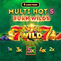 Multi Hot 5 Burn Wilds