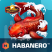 Habanero