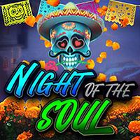 NIGHT OF THE SOUL
