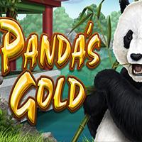 Pandas Gold