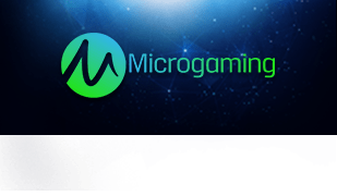 MicroGaming