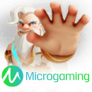 Micro Gaming