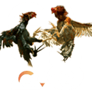 GA28