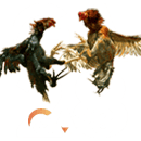 GA28
