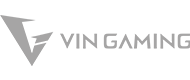 vin-gaming