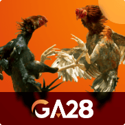 GA28