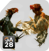 GA28